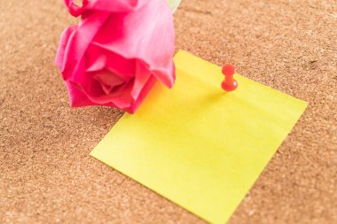 Gül ile kağıt Not 