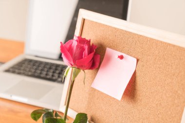 Gül ile kağıt Not 