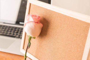 Gül ile kağıt Not 