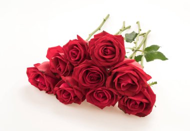 Beyaz üzerine kırmızı gül