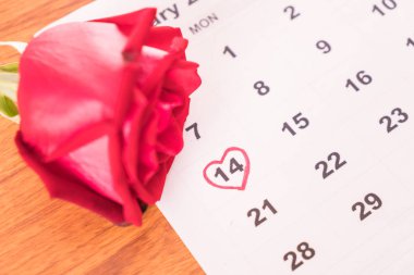 Gül takvim tarihini taşıyan 14 Şubat Sevgililer da