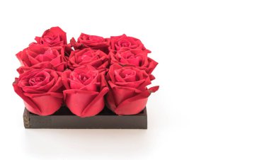 Beyaz üzerine kırmızı gül