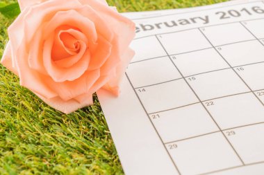 Takvimde gül 