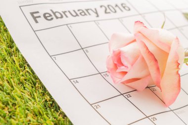 Takvimde gül 