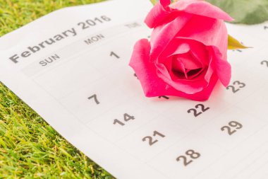 Takvimde gül 