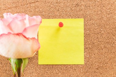 Gül ile kağıt Not 