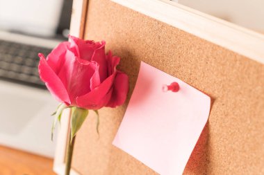 Gül ile kağıt Not 