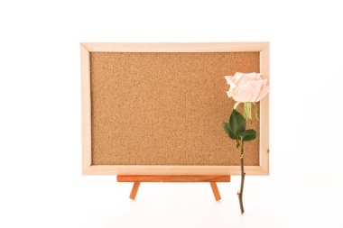 rose ile sanat kurulu