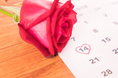 Gül takvim tarihini taşıyan 14 Şubat Sevgililer da