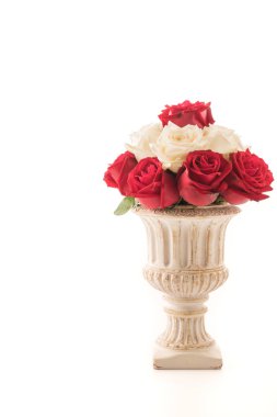 Beyaz üzerine kırmızı gül