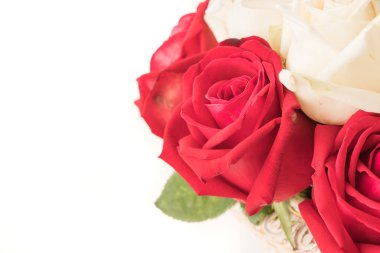 Beyaz üzerine kırmızı gül