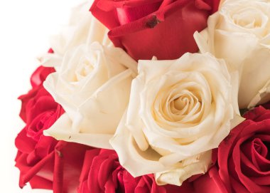 Beyaz üzerine kırmızı gül