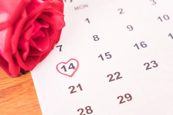 rose on the calendar with the date of February 14 Valentine\'s da