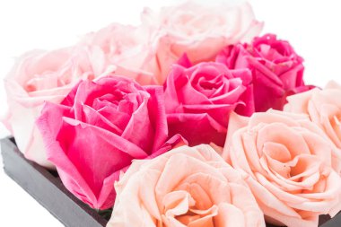 Mercan ve pembe Gül