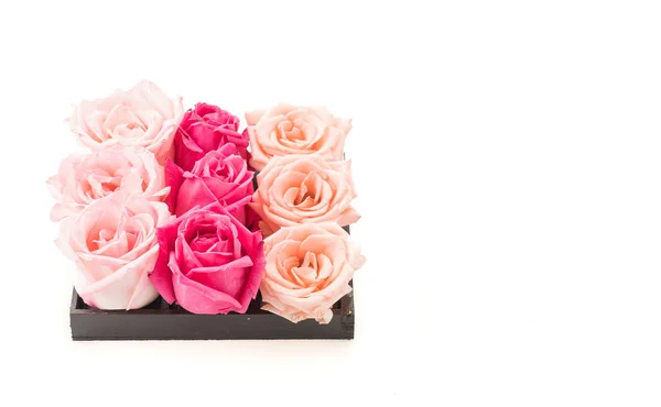 Коралловая и розовая роза — стоковое фото