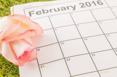 Takvimde gül 
