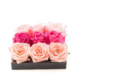 Mercan ve pembe Gül