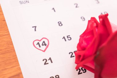 Gül takvim tarihini taşıyan 14 Şubat Sevgililer da