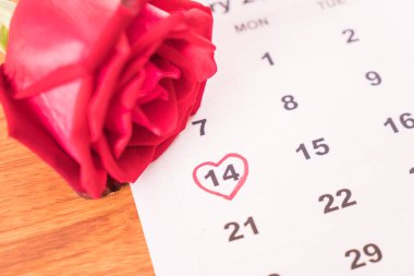 Gül takvim tarihini taşıyan 14 Şubat Sevgililer da