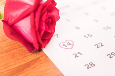 Gül takvim tarihini taşıyan 14 Şubat Sevgililer da