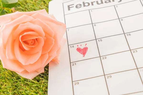 Rose on the calendar — Stock Photo, Image