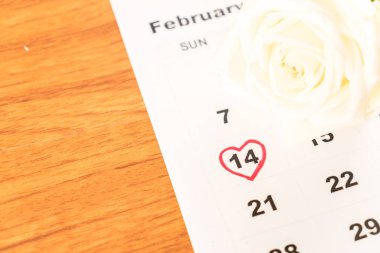14 Valentin ile Şubat Tarih takvimde beyaz gül