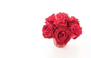 Beyaz üzerine kırmızı gül