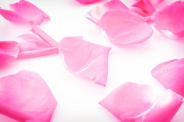 pembe Gül yaprağı