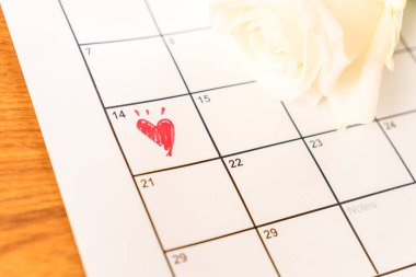 14 Valentin ile Şubat Tarih takvimde beyaz gül