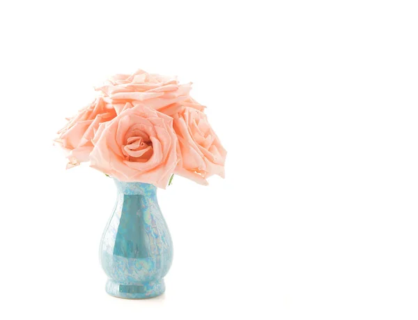 Coral rose on white — Stock Photo, Image