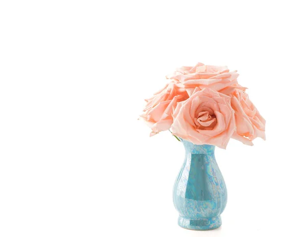 Coral rose on white — Stock Photo, Image