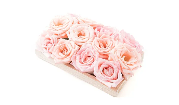 Coral rose on white — Stock Photo, Image