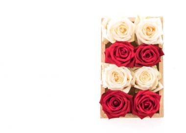 Beyaz ve kırmızı üzerine beyaz gül