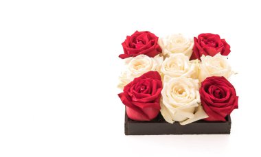 Beyaz ve kırmızı üzerine beyaz gül