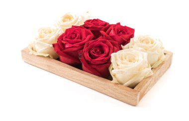 Beyaz ve kırmızı üzerine beyaz gül