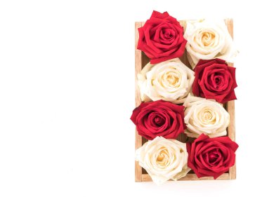 Beyaz ve kırmızı üzerine beyaz gül