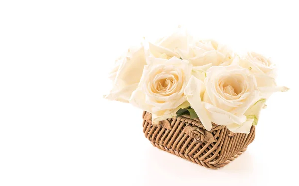 Rosa blanca sobre blanco —  Fotos de Stock