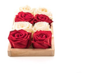 Beyaz ve kırmızı üzerine beyaz gül