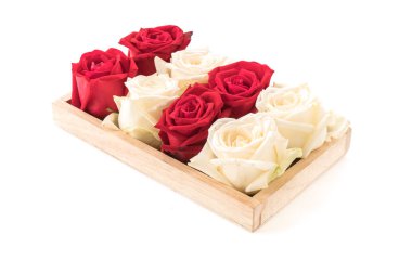 Beyaz ve kırmızı üzerine beyaz gül