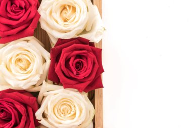 Beyaz ve kırmızı üzerine beyaz gül