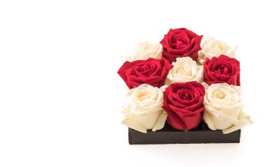 Beyaz ve kırmızı üzerine beyaz gül