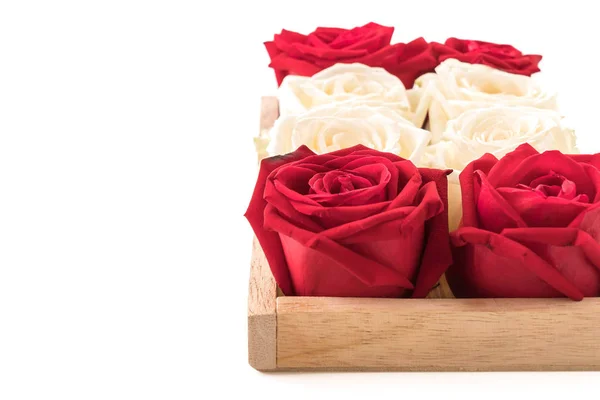 White and red rose on white — Stock Photo, Image