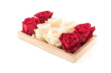 Beyaz ve kırmızı üzerine beyaz gül