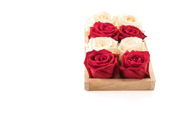 Белая и красная роза на белом — стоковое фото