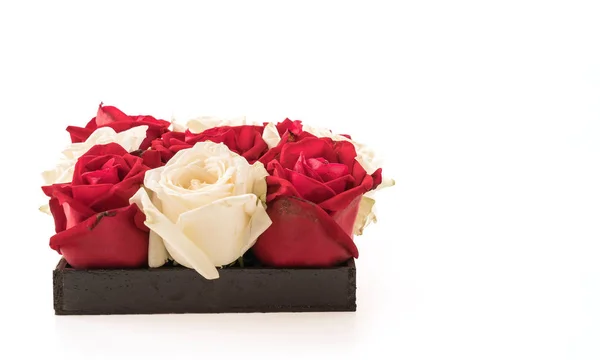 White and red rose on white — Stock Photo, Image