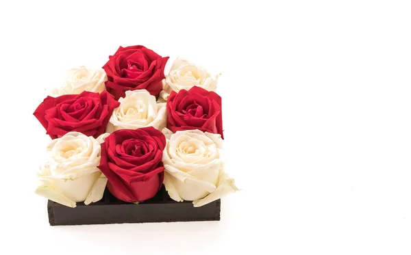 White and red rose on white — Stock Photo, Image