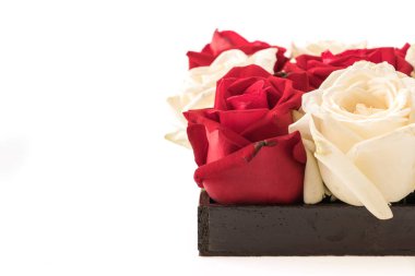 Beyaz ve kırmızı üzerine beyaz gül