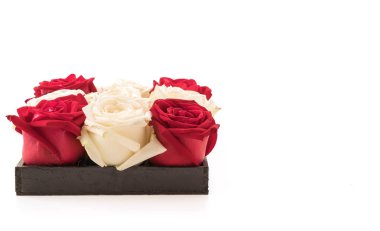 Beyaz ve kırmızı üzerine beyaz gül