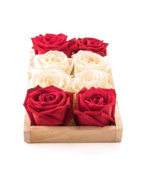 Beyaz ve kırmızı üzerine beyaz gül