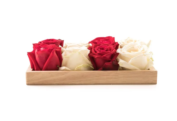 Белая и красная роза на белом — стоковое фото